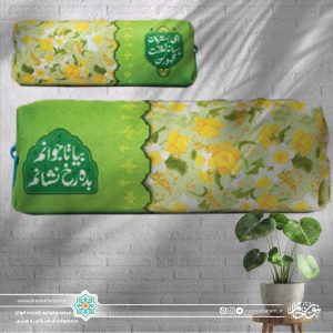 جامدادی سبز (بیا تا جوانم بده رخ نشانم)